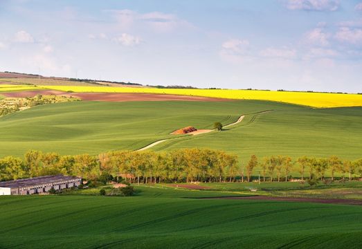 A amônia verde encontra a agricultura inteligente