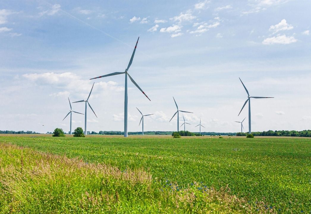 Construindo um futuro mais verde juntos