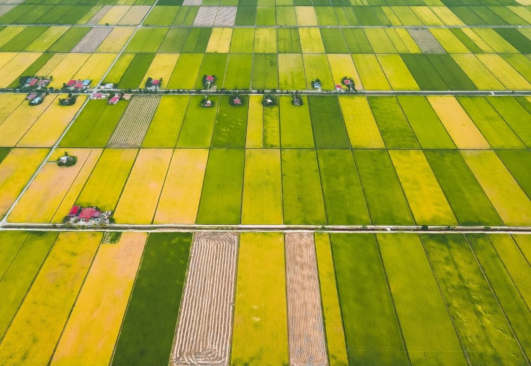 Aliança de Inovação Verde KAPSOM–NJTech