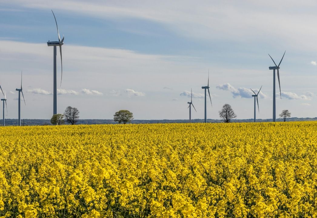 KAPSOM firma parceria com a Shuangliang Hydrogen Energy