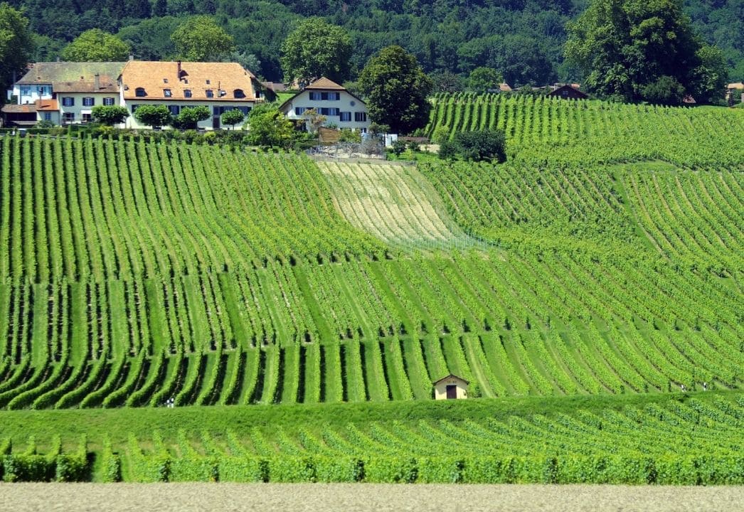 Lançamento KAPSOM Anhui Chuanming
