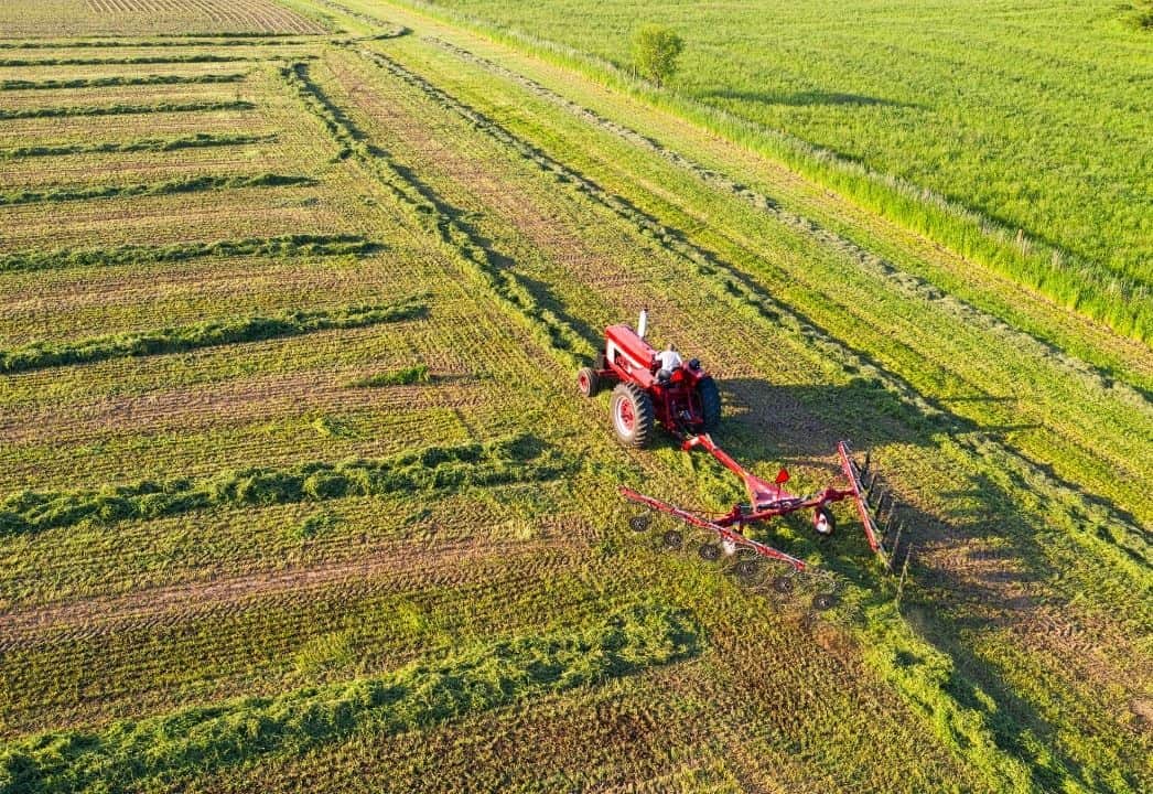 Amônia verde impulsiona o desenvolvimento agrícola sustentável.