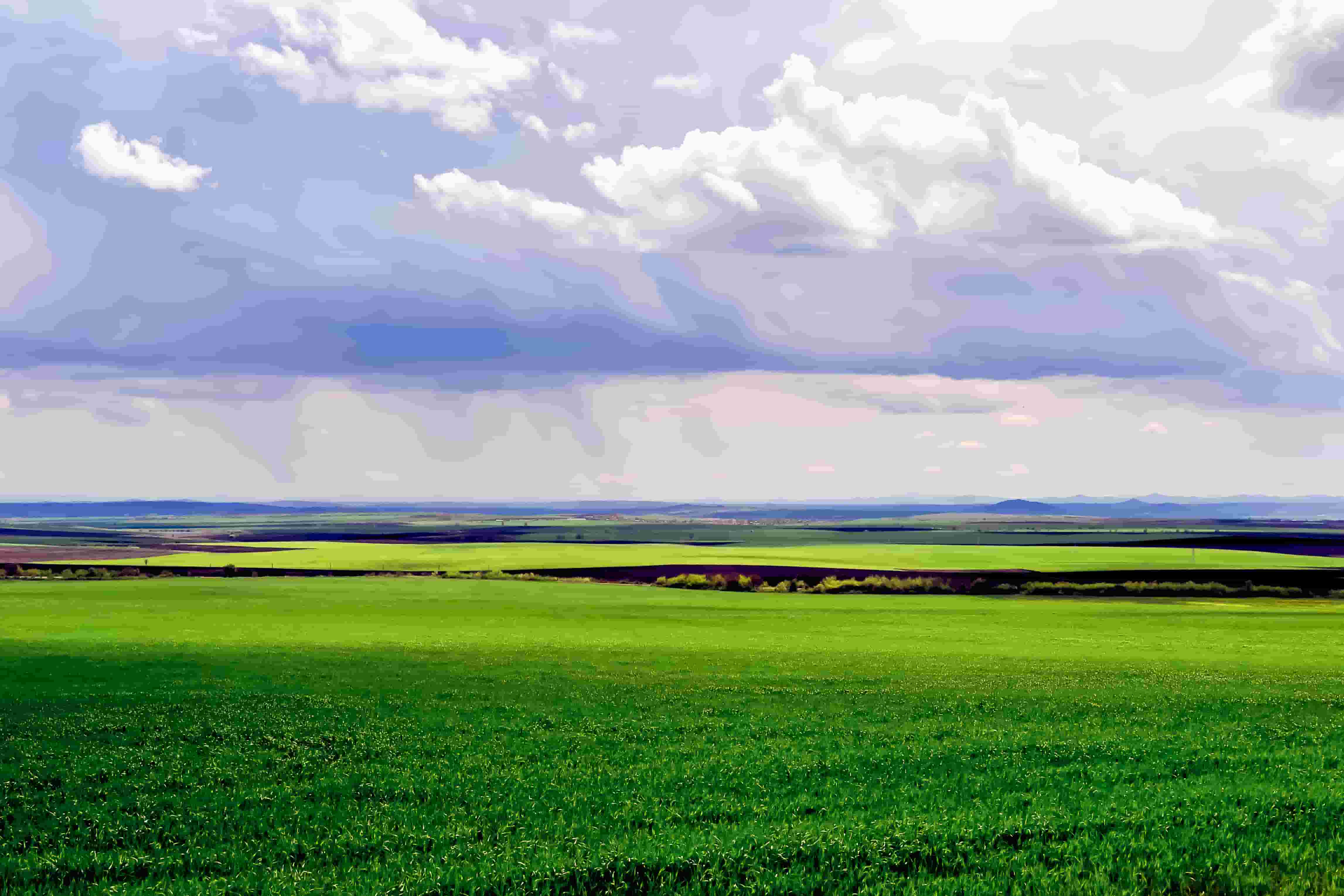 O primeiro projeto de amônia verde na América do Sul