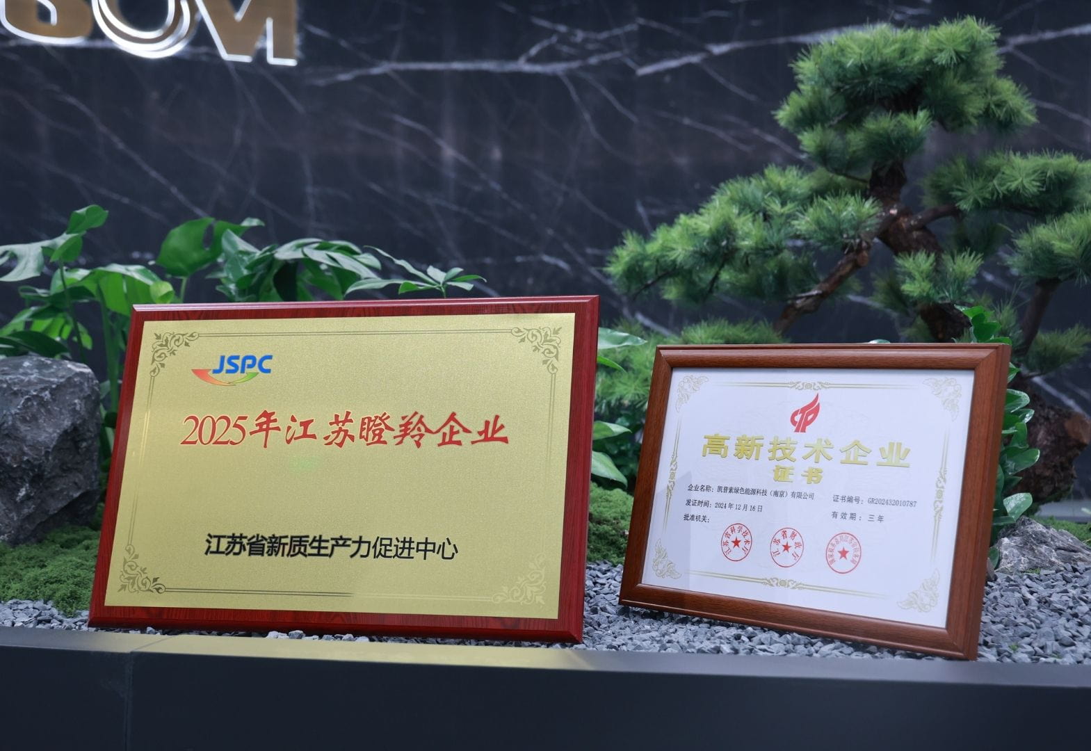 A KAPSOM foi reconhecida como uma Empresa Gazela de Jiangsu para 2025.