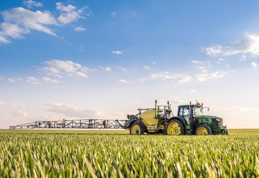 Um caminho resiliente em um mercado global volátil