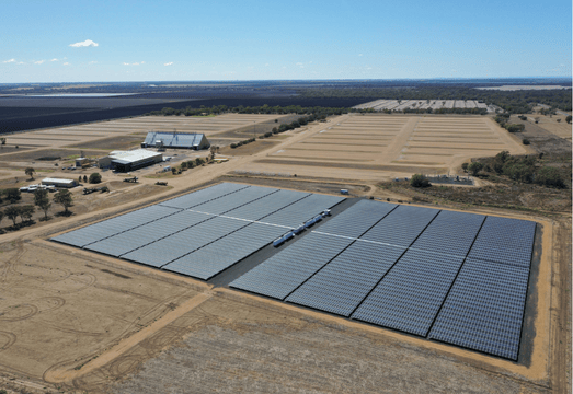 O que está impulsionando a adoção da amônia verde atualmente?